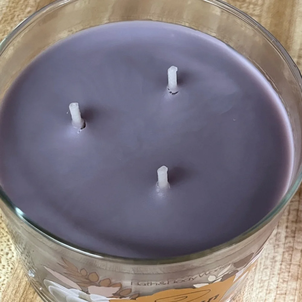 Bath & Body Works Autumn Chai 3-Wick Candle